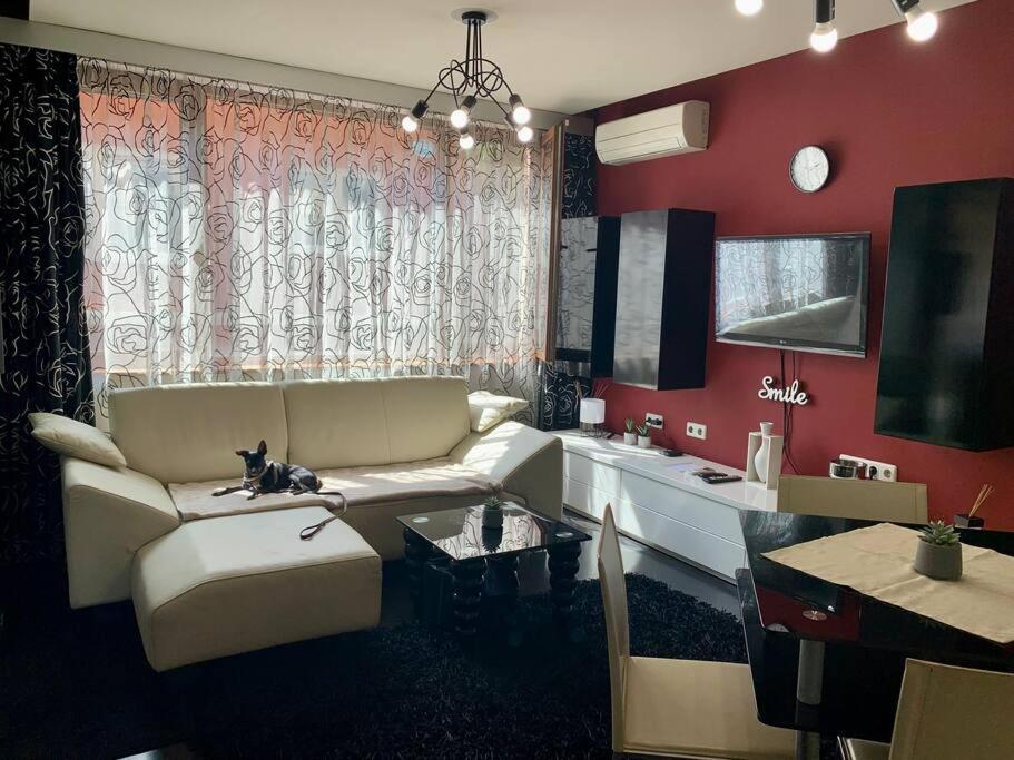 Lovely Sofia Apartment Katerina With Free Parking Екстер'єр фото
