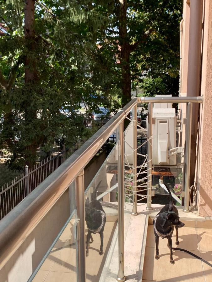 Lovely Sofia Apartment Katerina With Free Parking Екстер'єр фото