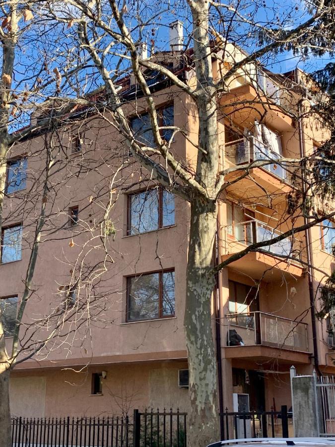 Lovely Sofia Apartment Katerina With Free Parking Екстер'єр фото